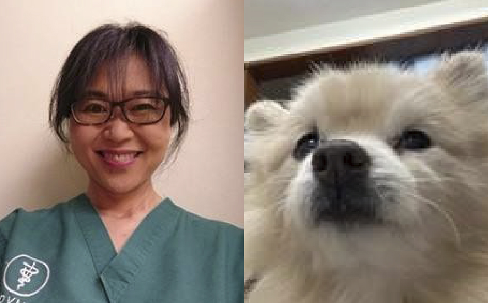 ふう動物病院先生と犬の画像