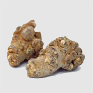 田七人参（デンシチニンジン）