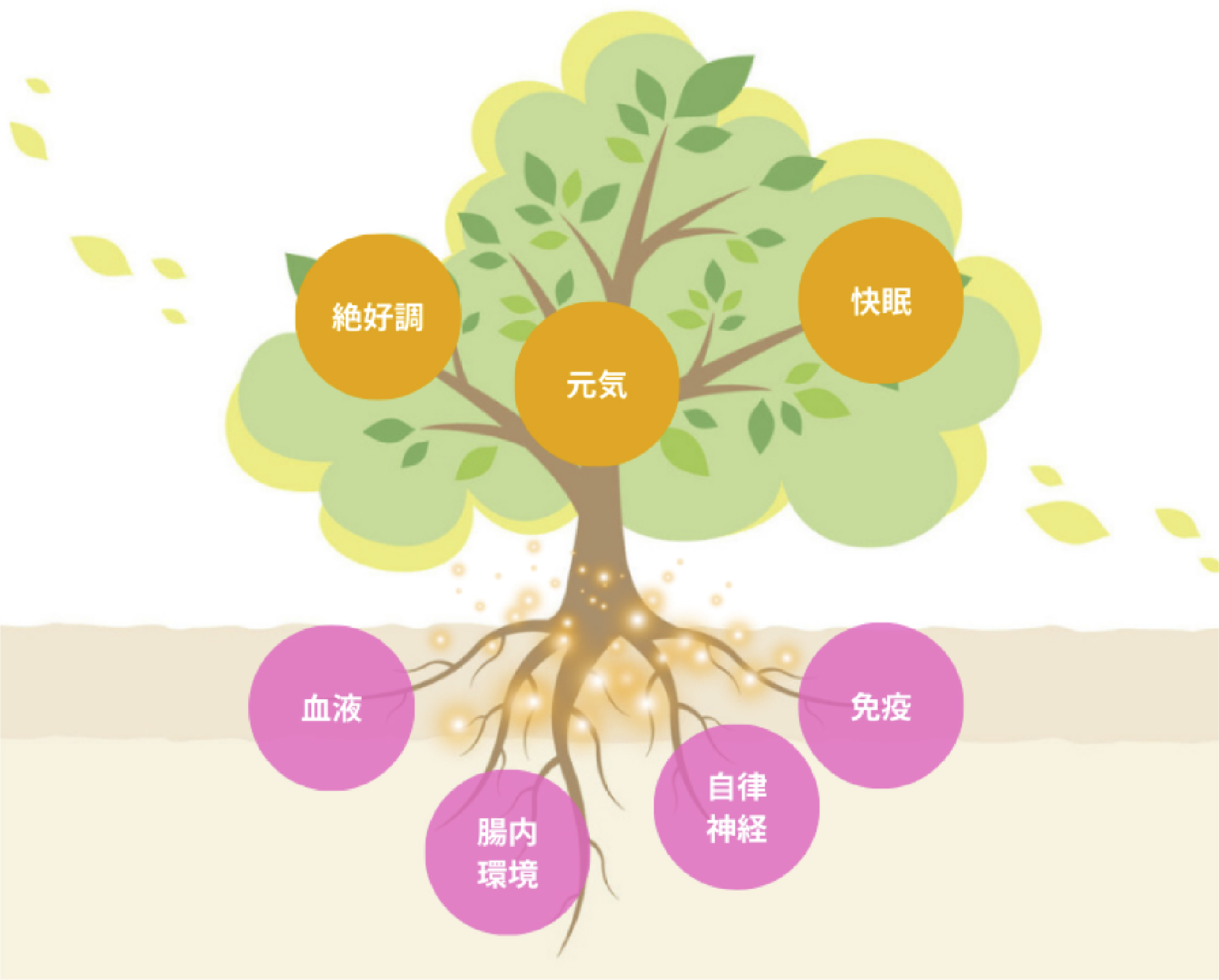 「根本からの健康づくり」の重要性