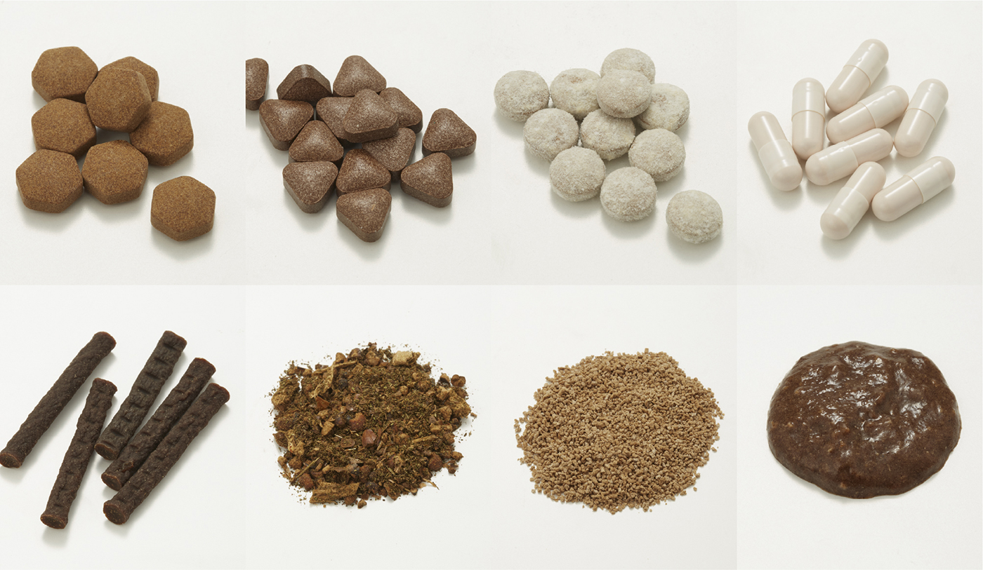 霊芝専門メーカーの実績と信頼