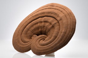 信頼の製造過程 &
世界唯一の抽出技術