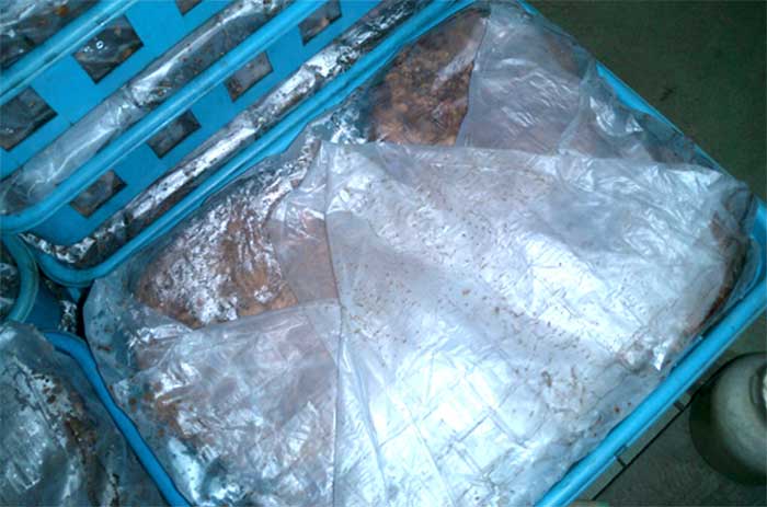 樹齢30年以上のミズナラの原木をカットします。