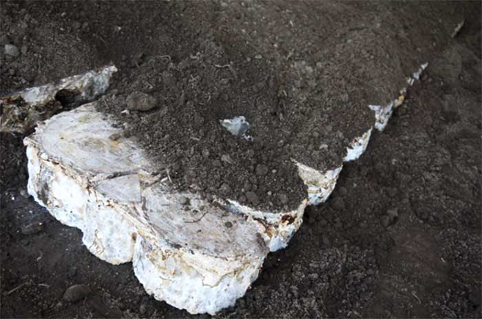 ミネラル豊富な土壌