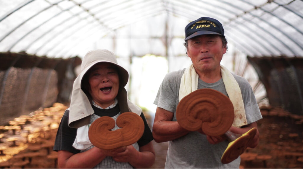 上薬研究所トップ画像4